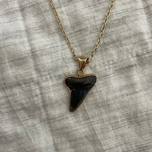 Shark tooth necklace